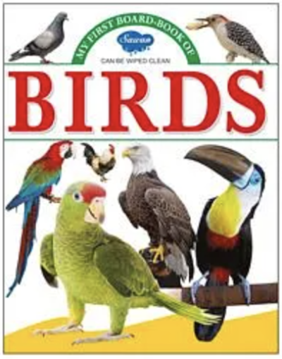 My First Board Book Birds